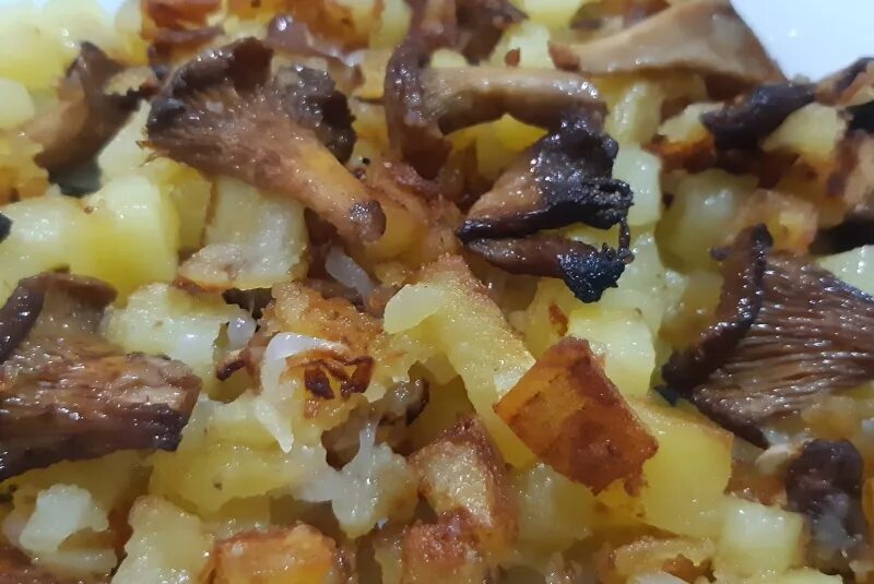 картофель с лисичками в духовке. лисички в сметане в духовке. лисички в сметане с картофелем. лисички в сметане в духовке. лисички в сметане 18.