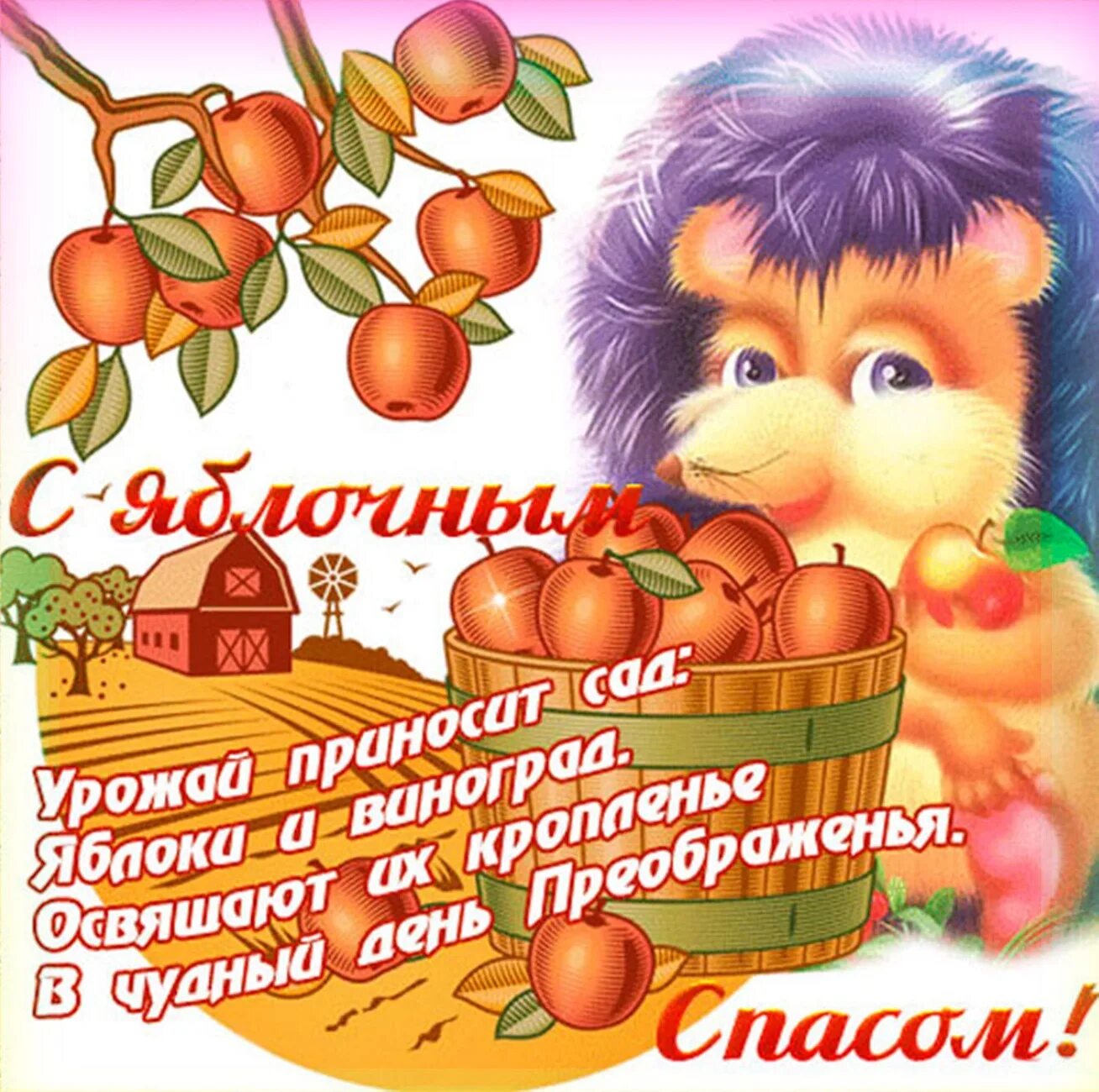 Картинки поздравления со спасом. Яблочный спас поздравления. поздравляю с яблочным спасом. открытки с яблочным спасом красивые. поздравить с яблочным спасом открыткой.