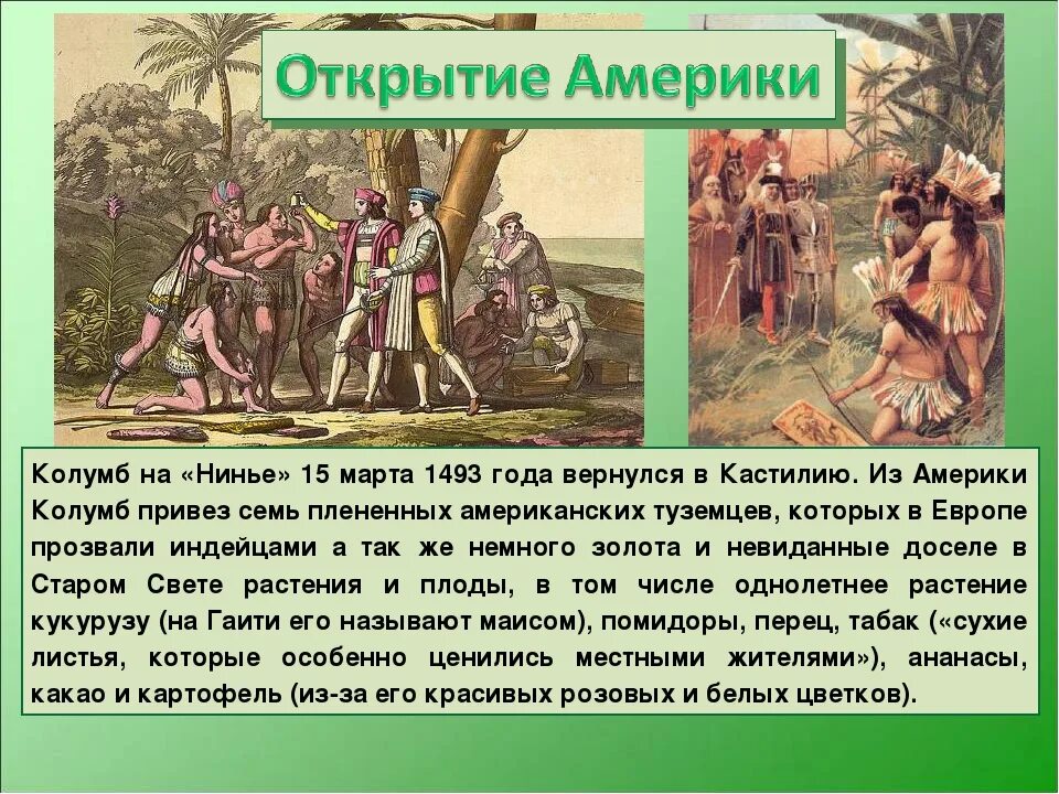 Что привез Колумб из Америки. Товары привезенные из Америки Колумбом. Какие растения привезли из Америки в Европу. Какое растение привёз Колумб. Какой продукт появился в индии благодаря колумбу