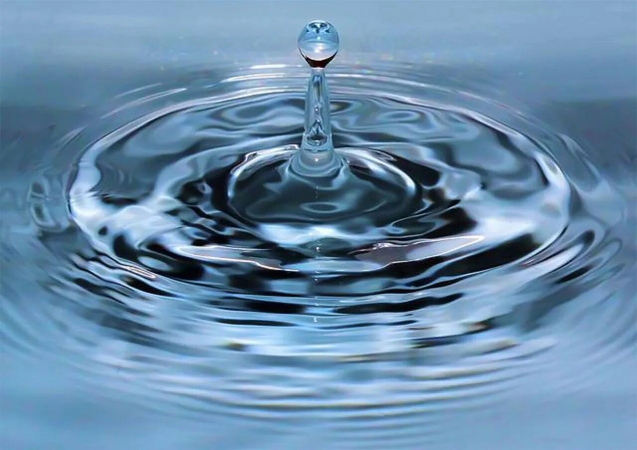 Вода. Вода источник жизни. Вода это жизнь. Стоячая вода.