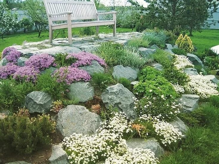 Альпийская горка на даче. Альпинарий альпийская горка. Альпийская гор. Альпинарии рокарии альпийские горки. Растения альпинарии, альпийская горка.