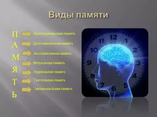 Как выглядит память человека Картинки РАССКАЗЫ О ПАМЯТИ ЧЕЛОВЕКА