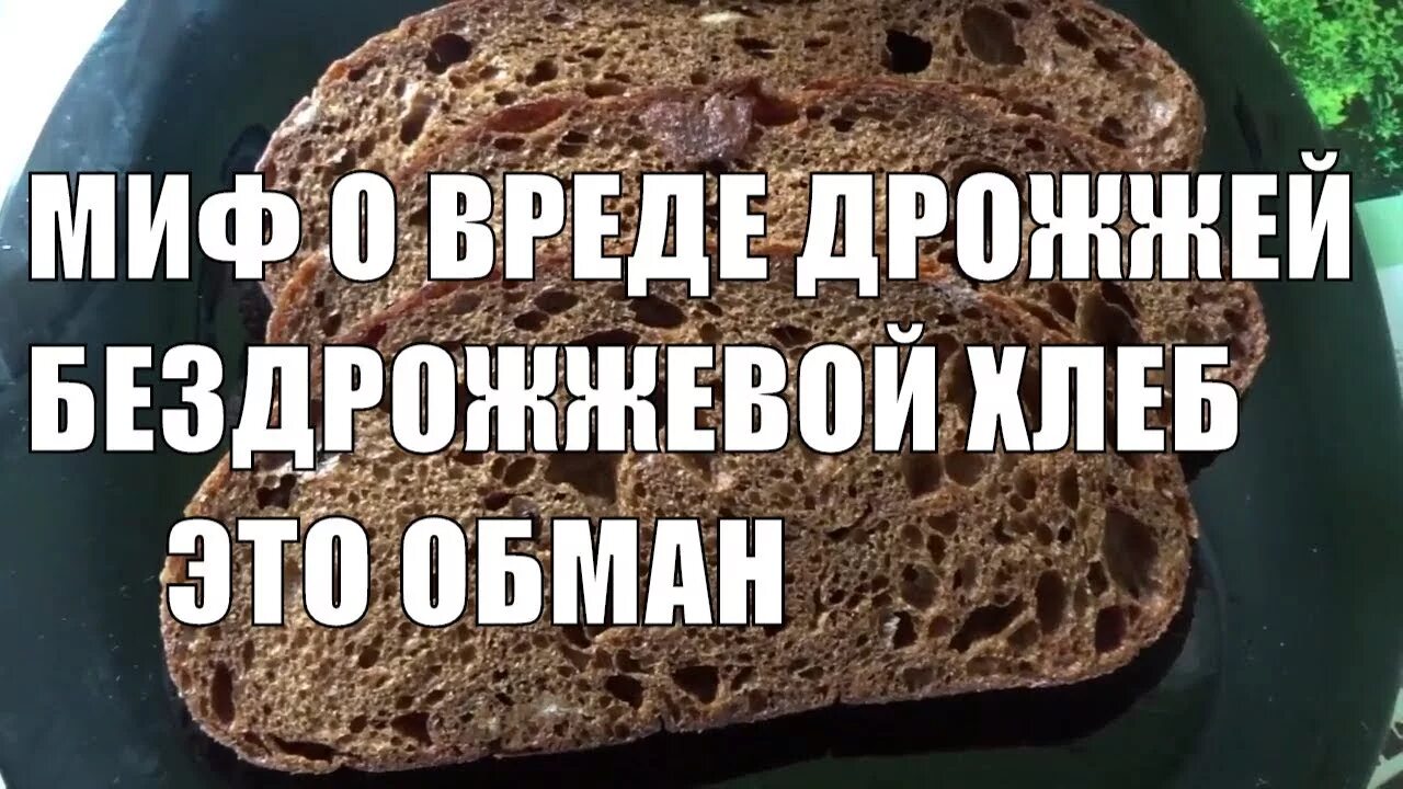 Чем вреден хлеб для организма. Дрожжевой хлеб вреден. термофильные дрожжи. дрожжевой хлеб польза. дрожжи яд.