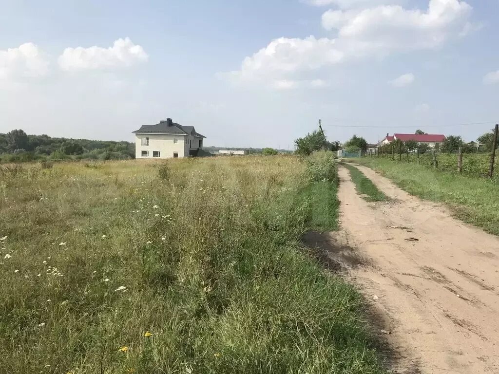 До н в новоживотинном. Новоживотинное свободы 103/1. Участки в новоживотинном. Новоживотинное воронежская область. Участки в новоживотинном.