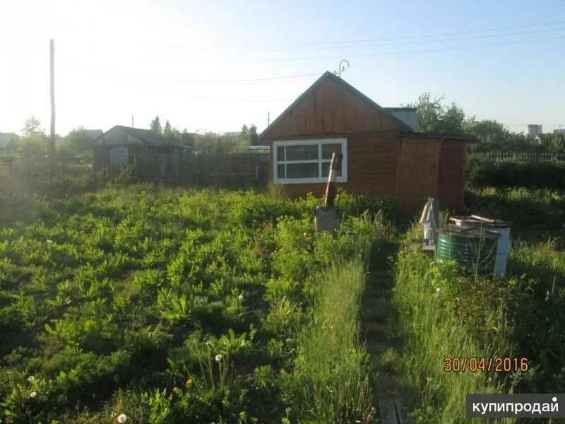 Дача снт дружба. Садоводство ракета барнаул. Дачи садоводство дружба. Южный алтайский край. Садоводство дружба барнаул.