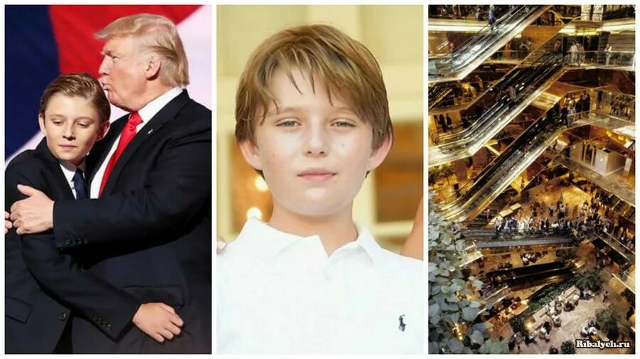 Манга младший сын конгломерата 51 глава вк. Младший сын конгломерата 85. Младший сын конгломерата 85. Младший сын конгломерата 85. Младший сын максима соколова.