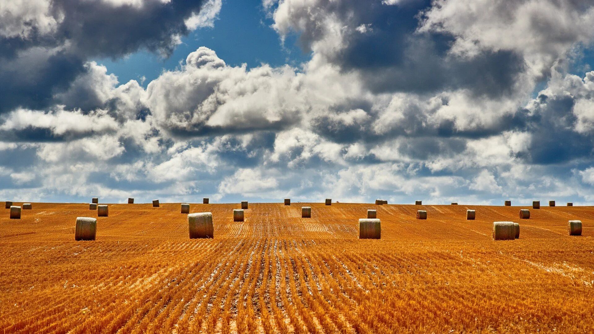 Гладкое поле. Одинокий дом в поле. Поле ферма. Профессиональные пейзажи. Трасса в поле.