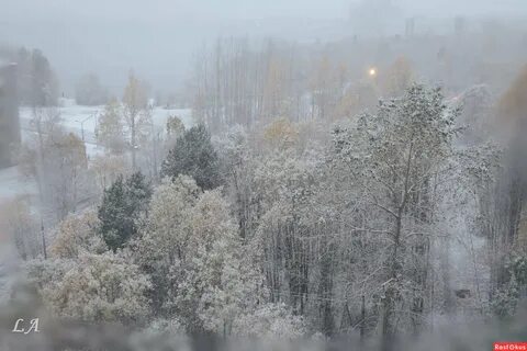 Северу снег