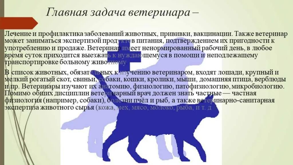 Профилактика содержания животных