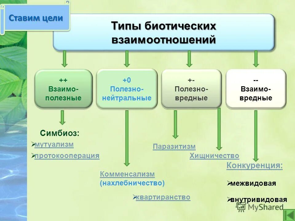 Взаимо понимание поэта и общества. Типы биотических взаимодействий схема. Типы взаимодействия между живыми организмами схема. Типы взаимодействия между организмами схема. Установите взаимо.