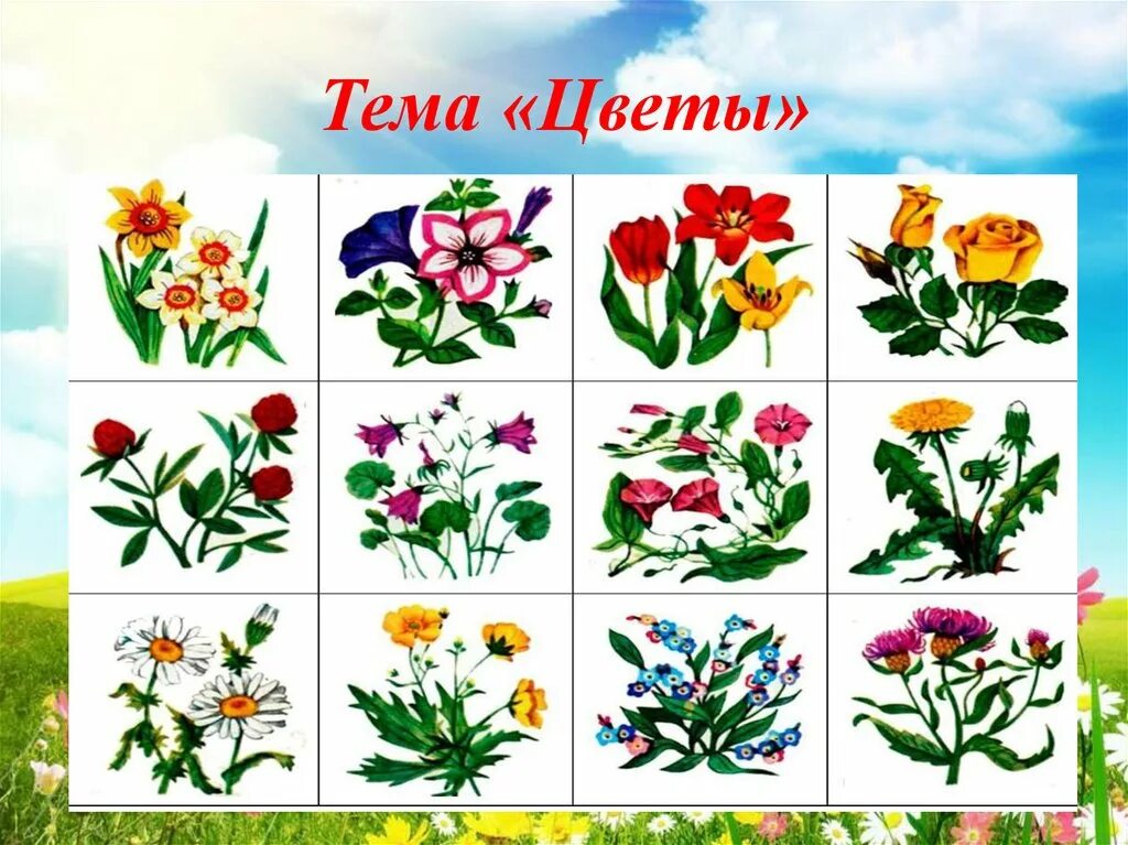 Неделя цветов в детском. Названия цветов для дошкольников. цветы названия для дошкольников. картинки цветов для дошкольников. садовые цветы детям детского сада.