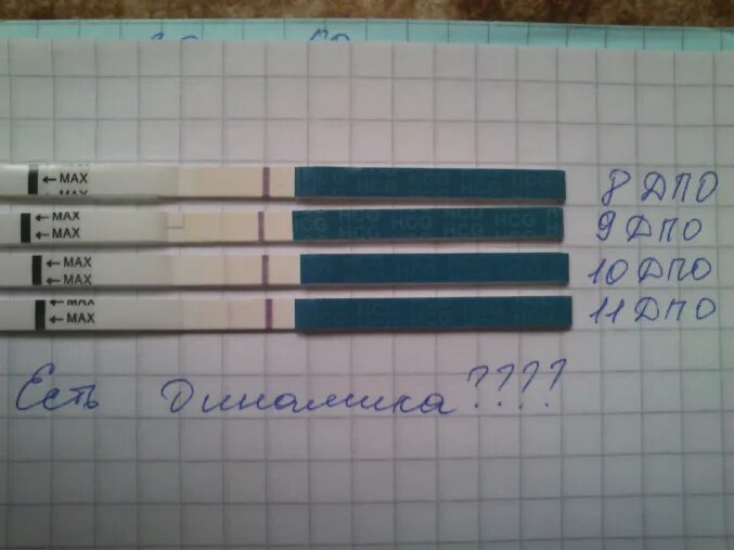 На 10 день после зачатия тест покажет. Тест после зачатия. Тест на беременность после оплодотворения. Тест на беременность на 11 день после зачатия. Тесты после оплодотворения.