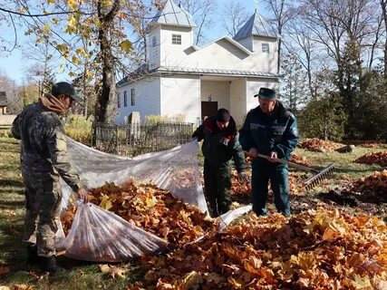 Погода в заостровечье