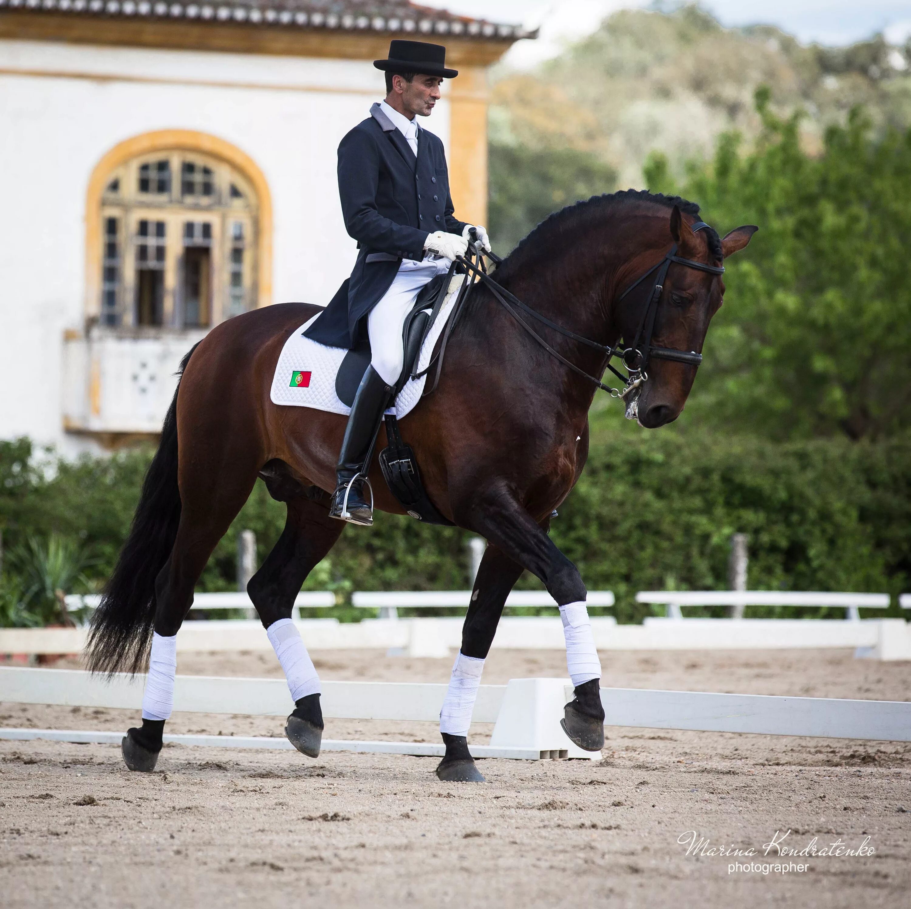 Horse sport. Конный спорт. Спортивные лошади. Верховая езда спорт.