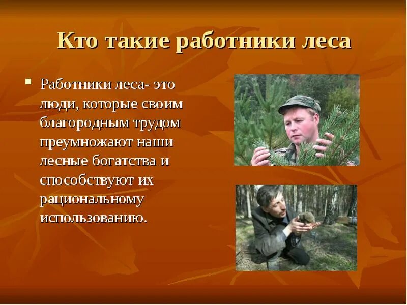 Историю про лесника. Презентация день работников леса. стихотворение про лесника. рассказ про лесника. работник леса это кто?.
