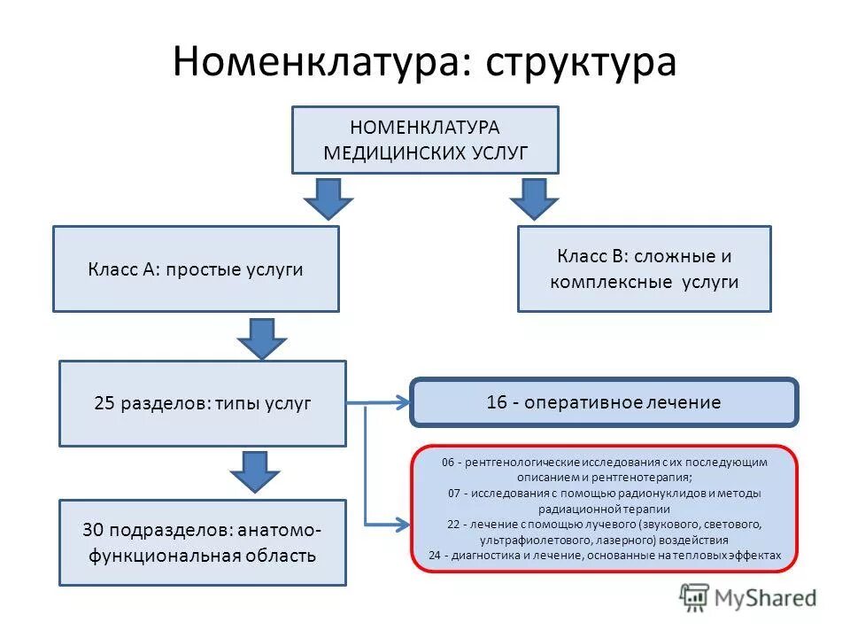 Номенклатура медицинских услуг 2024