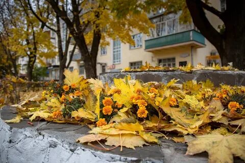 1 октября тула