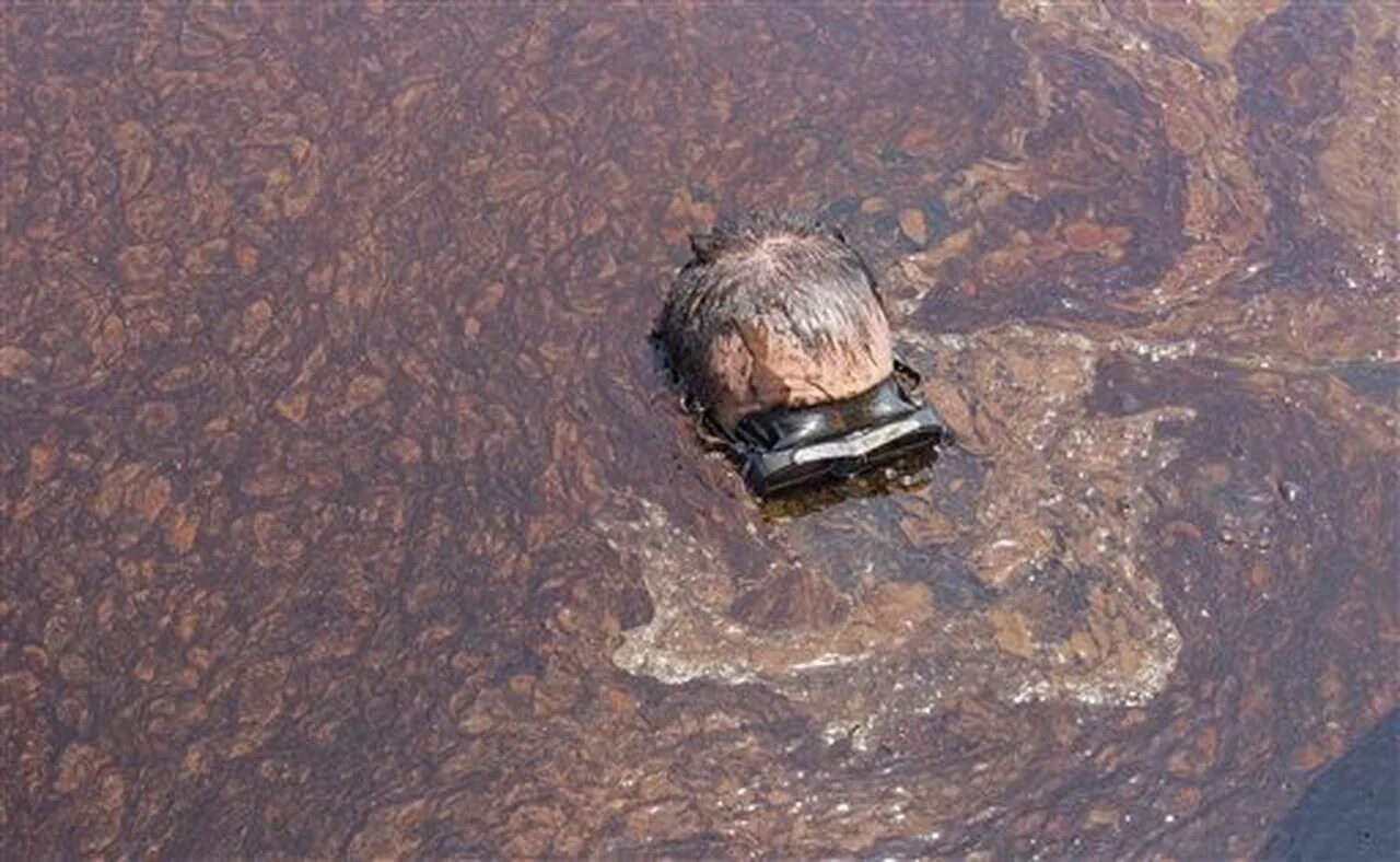 Какая последняя экологическая катастрофа. Разлив нефти в мексиканском заливе. Катастрофа Deepwater Horizon в мексиканском заливе. Deepwater Horizon разлив нефти. Катастрофа в мексиканском заливе в 2010 году.