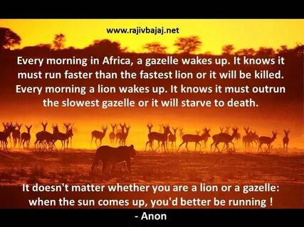 Every morning