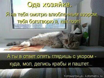 Что опять что ответить