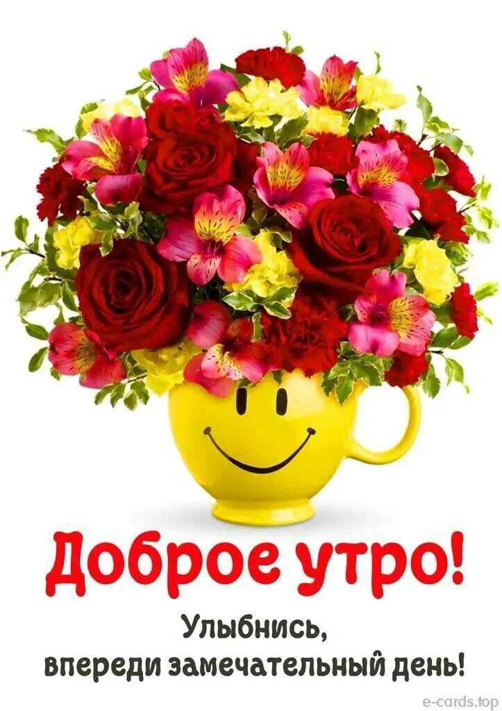 Огромный букет цветов. Красивый букет роз в вазе. Большой букетами доброе утро. Большой букетами доброе утро. Большой букетами доброе утро.