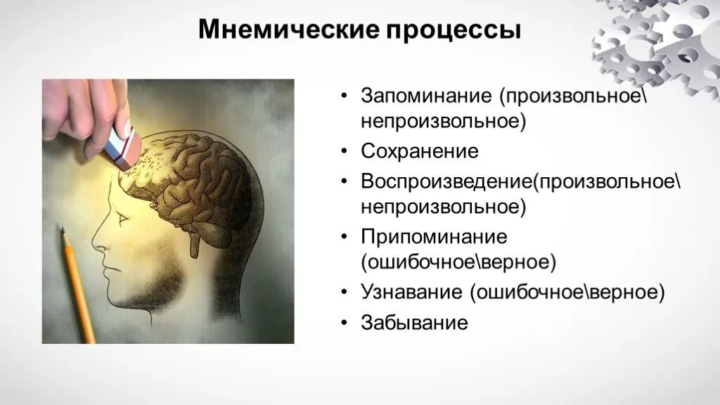 Запоминание сохранение и воспроизведение образов. Мнемические процессы. Мимические процессы памяти. Процесс запоминания. Мнемические процессы памяти.