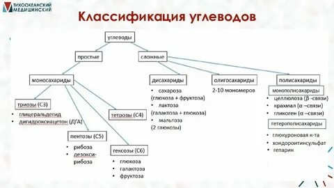 Установите соответствие углеводов