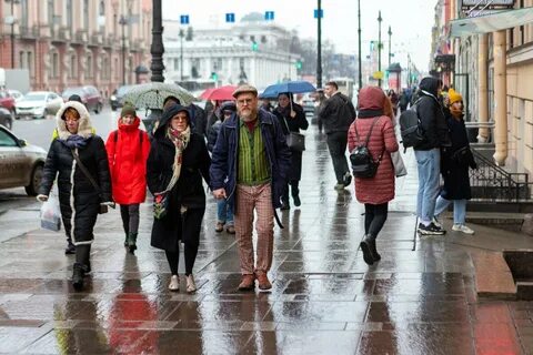 Похолодание в спб