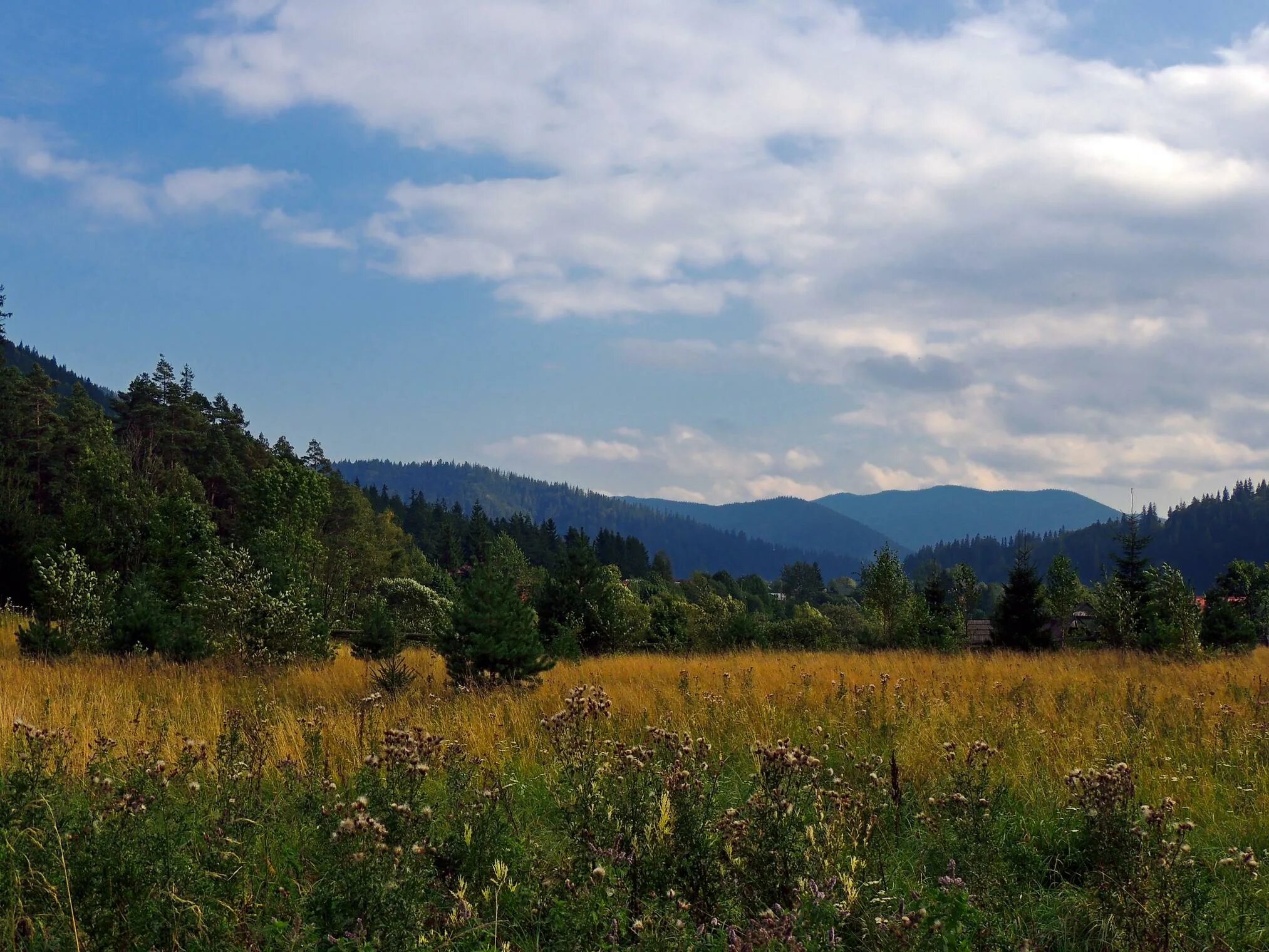 Карпаты гуцулы. Дума о ковпаке карпаты карпаты. Карпаты думы о. Карпаты думы о. Ковпак актер дума о ковпаке.