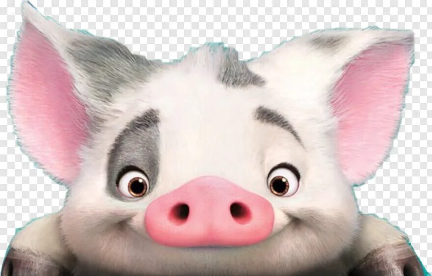 Pua generic