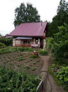 Авито заря
