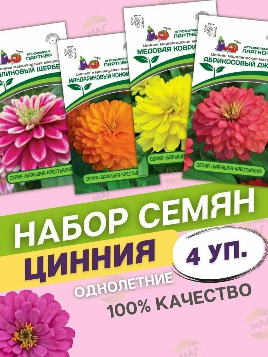 Фирма партнер семена цинии. Фирма партнер семена цинии. Цинния партнер семена. Цинния желтая субмарина партнер. Циния космополитен партнер.