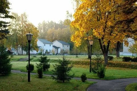 Плесково журнал