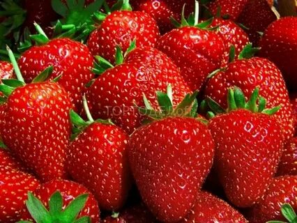 Клубника мочегонная отзывы