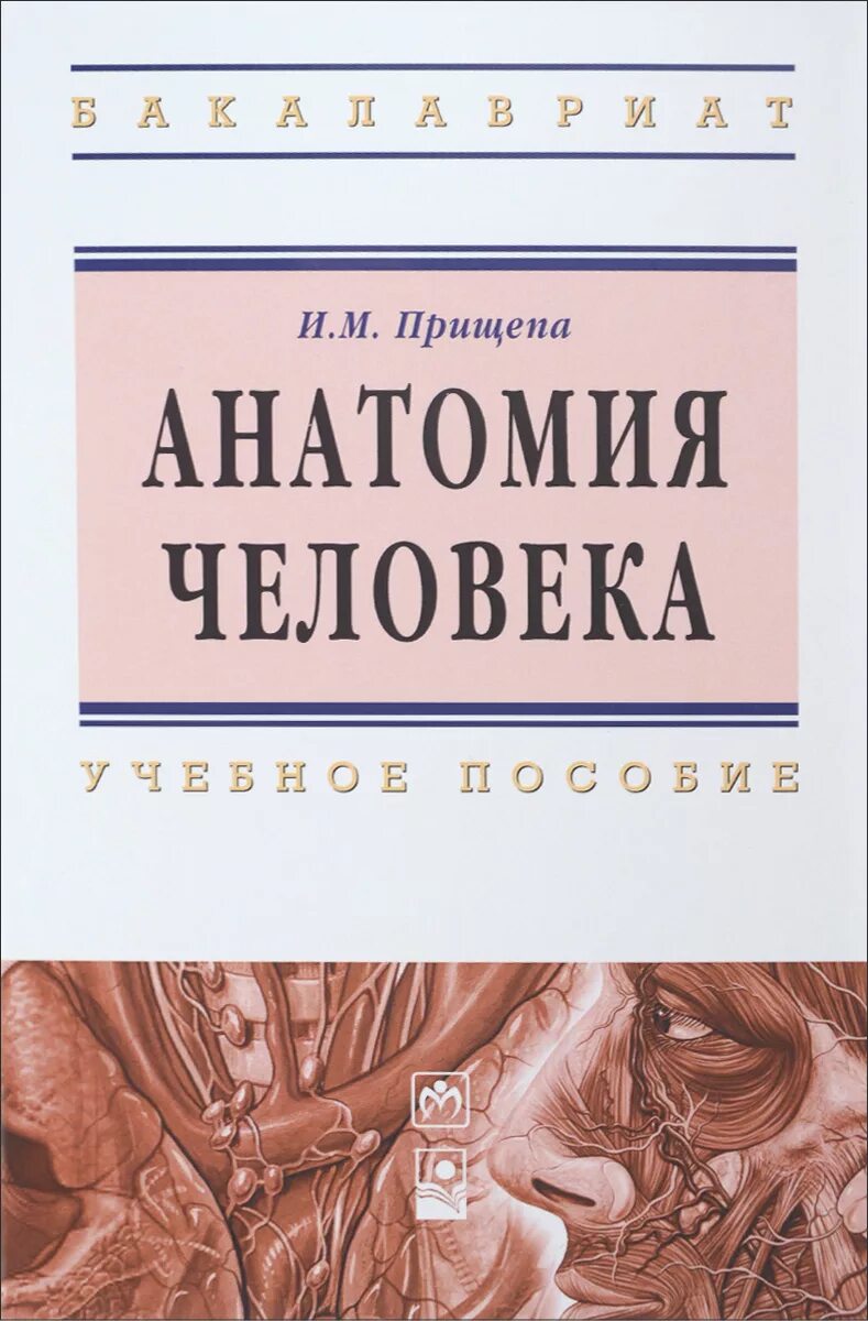 Общий курс анатомии. Книга по анатомии. нормальная анатомия человека. анатомия книга. книга нормальная анатомия человека.