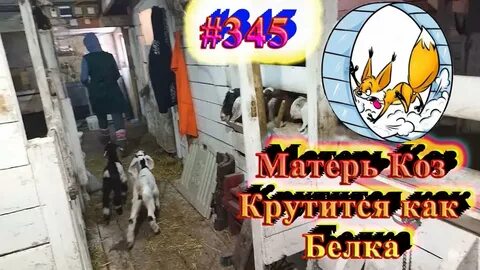 Усадьба белая коза последние ютубе