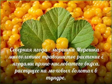 Песня морошка ремикс