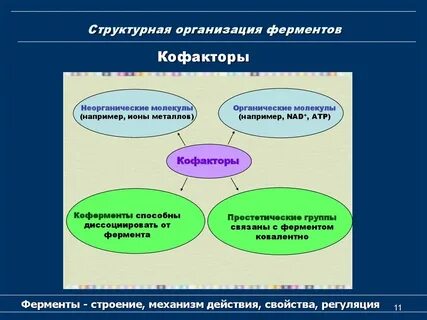 Снижающий уровень ферментов