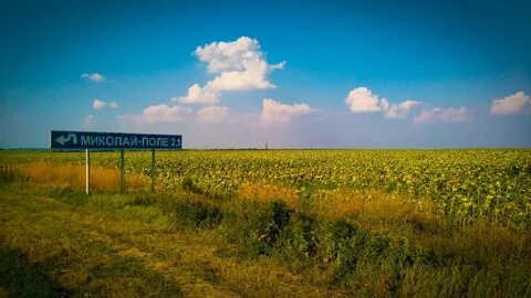 Погода в крыму село яркое поле