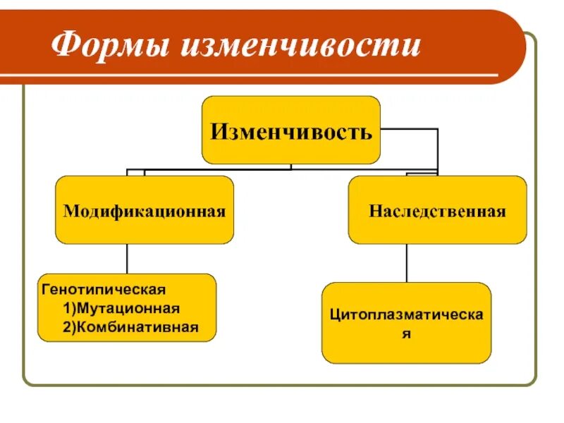 Формы наследственной изменчивости таблица. Схема формы изменчивости биология 9 класс. Форма изменчивости модификационная причины. 3 Формы изменчивости. Существует наследственная изменчивость