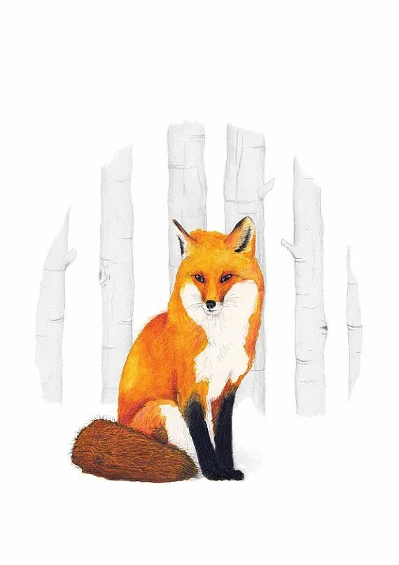 Лиса нарисовать. Лиса сидит. Лис сидит. Лисенок. Рисунок лисы боком.