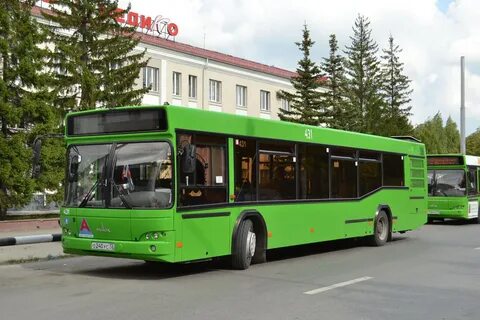 Автобус 431 гатчина спб