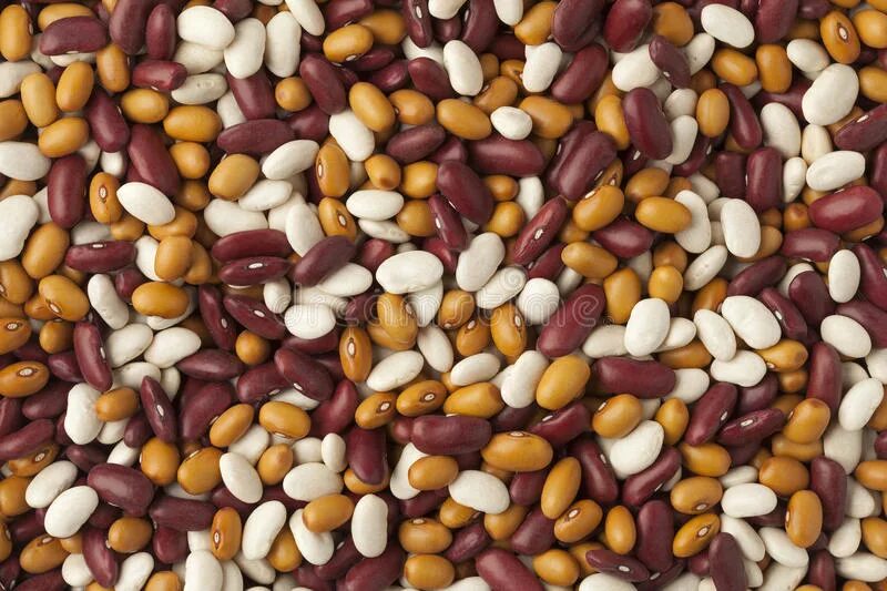 Как получить много бобы. Фул бобы. фасоль акварель. full ob beans. picture of beans for color.