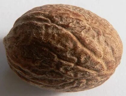 Nutmeg tiger cookie