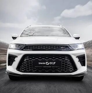 Swm g01f