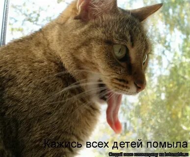 Золотой язык