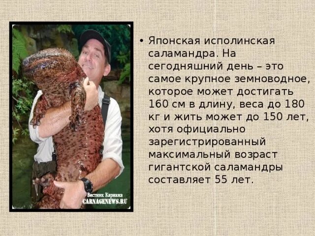 Что значит исполинский