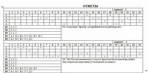 Проверочная работа по биологии 8 класс 2024