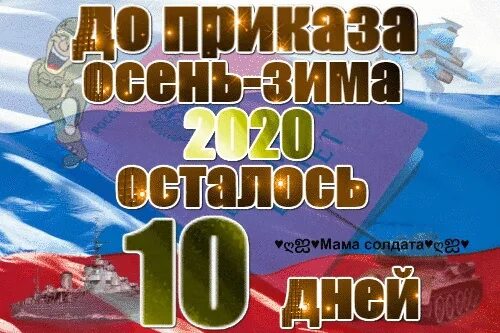 Сто дней свободы сериал степан. Открытки 10 месяцев службы позади. Открытка 10 месяцев службы в армии. 10 месяцев службы в армии. Открытка 10 месяцев службы.