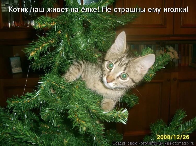 года ее поставили уже на